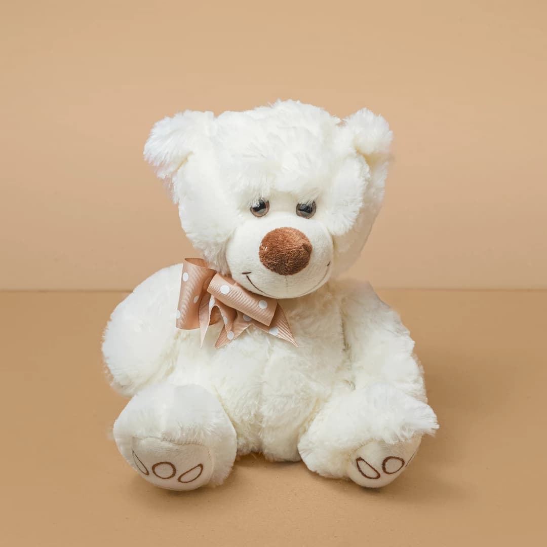 Oso de Peluche